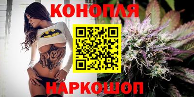 apvp Беслан