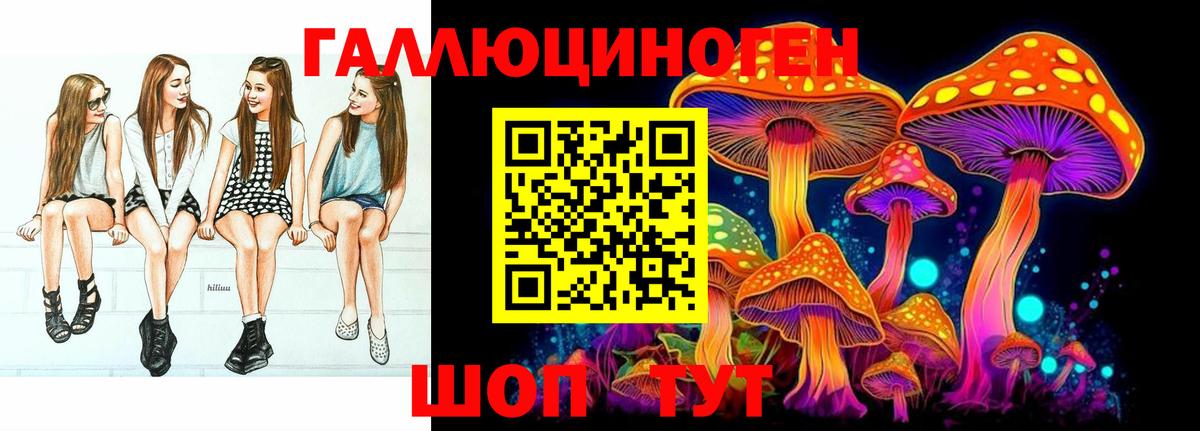 Псилоцибиновые грибы Psilocybine cubensis Клин